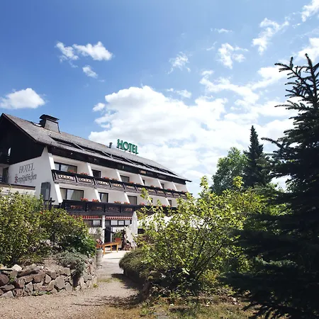 Bergschloesschen 3*