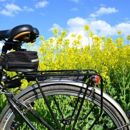 Bergschloesschen Hotell