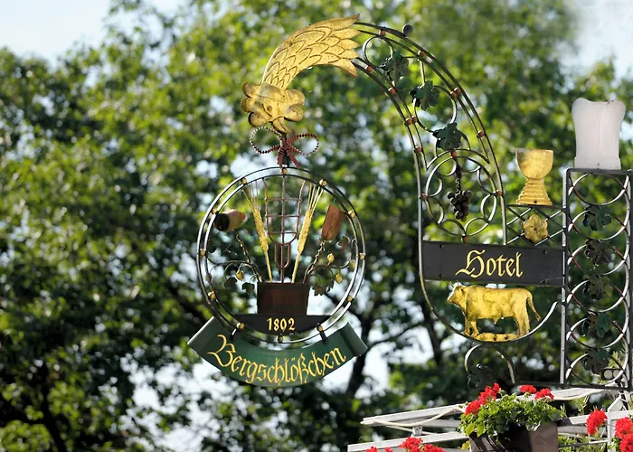 Bergschloesschen 3* Зиммерн