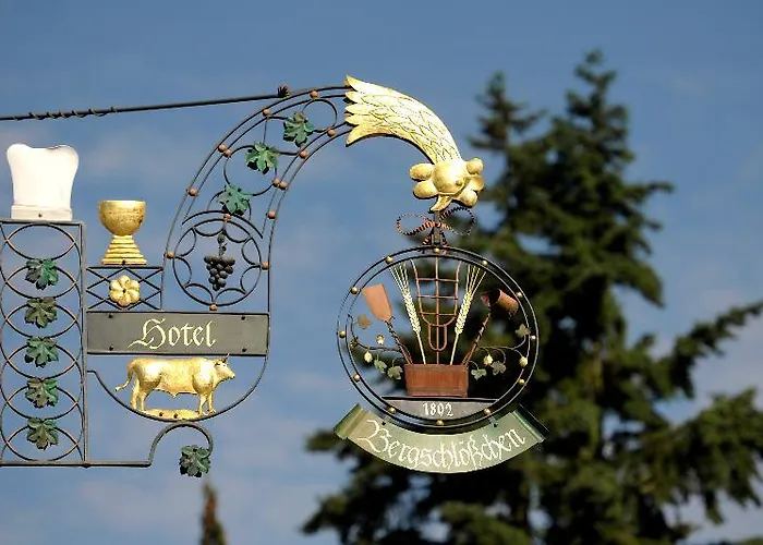 Bergschloesschen Отель